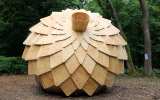 Foret-monumentale-03
