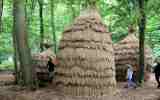 Foret-monumentale-09