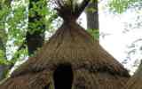 Foret-monumentale-10