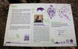 Foret-monumentale-12