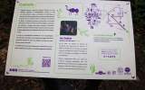 Foret-monumentale-20