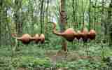 Foret-monumentale-21