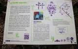 Foret-monumentale-24