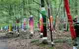 Foret-monumentale-27