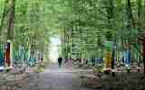Foret-monumentale-28
