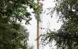 Foret-monumentale-30