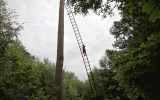 Foret-monumentale-33