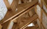 Foret-monumentale-38
