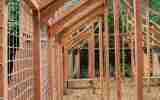 Foret-monumentale-42