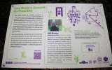 Foret-monumentale-44