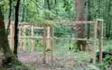 Foret-monumentale-45