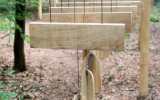 Foret-monumentale-47