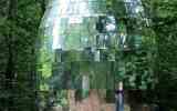 Foret-monumentale-49