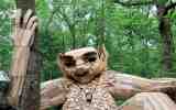 Foret-monumentale-52