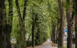 Gliwice-october-21-3