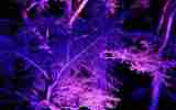 Harcourt-2023_09