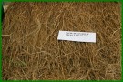 la-ferme04