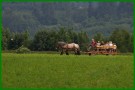 la-ferme38
