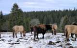 Jura-et-Doubs-2024_-17