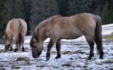 Jura-et-Doubs-2024_-19
