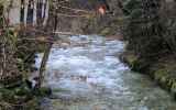 Jura-et-Doubs-2024_-43