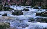 Jura-et-Doubs-2024_-50