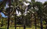 LaReunion01
