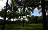 LaReunion03