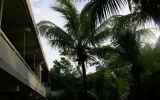LaReunion04