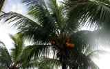 LaReunion05