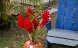 LaReunion07