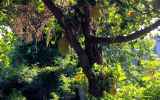 LaReunion16