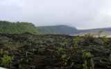 LaReunion19