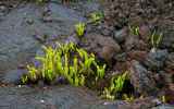 LaReunion24