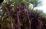 LaReunion28