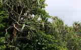 LaReunion29