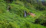 LaReunion31