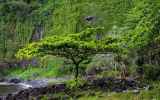 LaReunion35