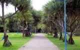 LaReunion43