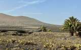 Lanzarote_2023_11
