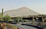Lanzarote_2023_12