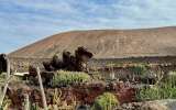 Lanzarote_2023_14
