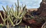 Lanzarote_2023_15