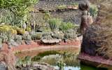 Lanzarote_2023_16