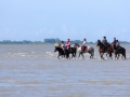 LeCrotoy16