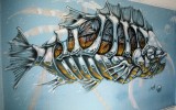 Graff08