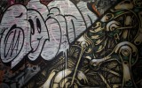 Graff23