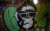 Graff24