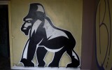 Graff25