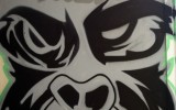 Graff27